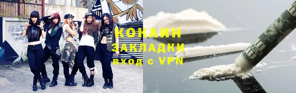 гашик Мегион