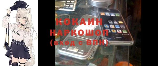 гашик Мегион
