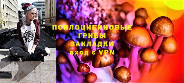 гашик Мегион