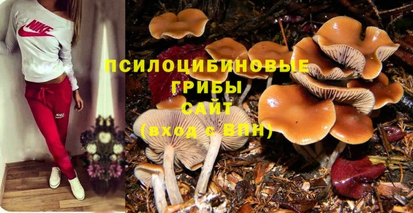 наркотики Медвежьегорск