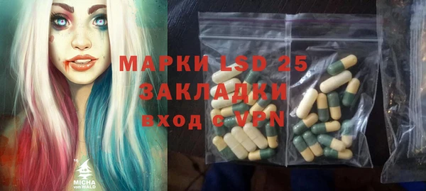 гашик Мегион